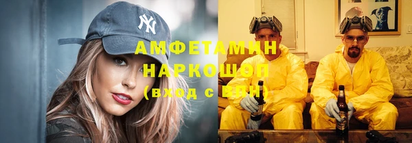 мдпв Михайлов