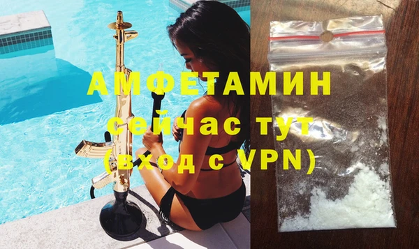 мдпв Михайлов