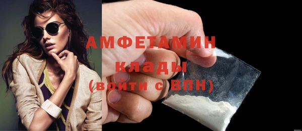 мдпв Болотное