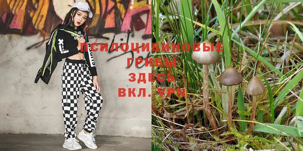 не бодяженный Михайловка
