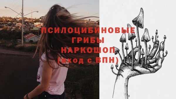 мдпв Михайлов