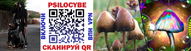 Псилоцибиновые грибы GOLDEN TEACHER  мега   Нестеров 